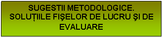 Text Box: SUGESTII METODOLOGICE. 
SOLUIILE FIELOR DE LUCRU I DE EVALUARE
